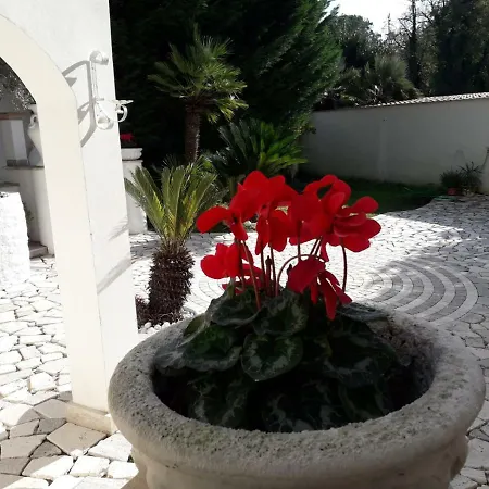 Nyaraló Romana Róma